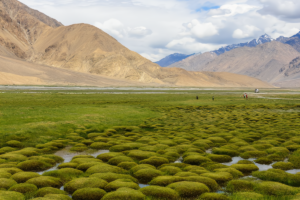 Puga valley